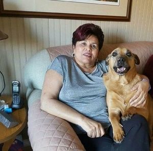 Meet your Posher, O'dell